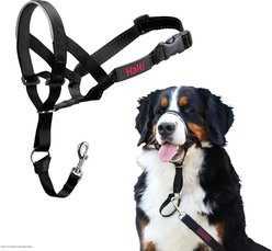 Halti Nylon Padded No Pull Dog Headcollar, Size 4: 18 to 24.5-in neck slide 1 of 9