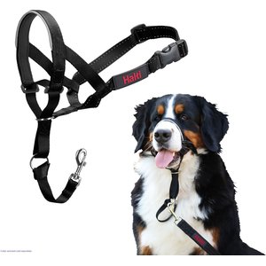Halti Nylon Padded No Pull Dog Headcollar, Size 4: 18 to 24.5-in neck
