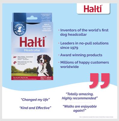 Show full view: Halti Nylon Padded No Pull Dog Headcollar, Size 4: 18 to 24.5-in neck slide 4 of 13