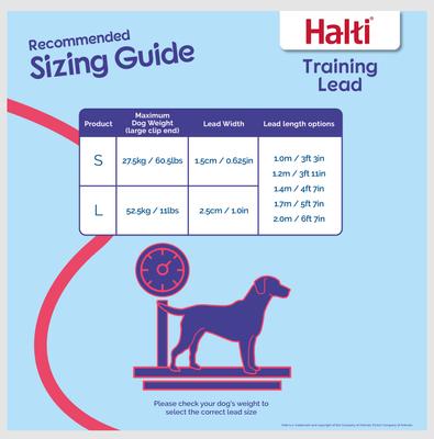 Show full view: Halti Nylon Training Dog Lead, Black, Large: 6.56-ft long, 0.98-in wide slide 3 of 12