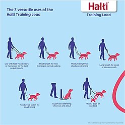 Halti Nylon Training Dog Lead, Black, Small: 6.56-ft long, 0.59-in wide slide 2 of 9