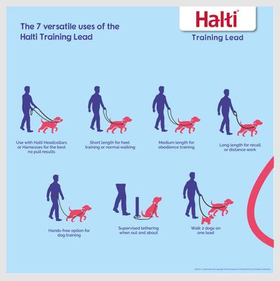 Show full view: Halti Nylon Training Dog Lead, Black, Small: 6.56-ft long, 0.59-in wide slide 2 of 12