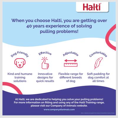 Show full view: Halti Nylon Training Dog Lead, Black, Small: 6.56-ft long, 0.59-in wide slide 6 of 12