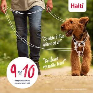 Halti Nylon Training Dog Leash, Black, Large: 6.56-ft long, 0.98-in wide