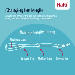 Halti Nylon Training Dog Leash, Black, Small: 6.56-ft long, 0.59-in wide slide 2 of 6