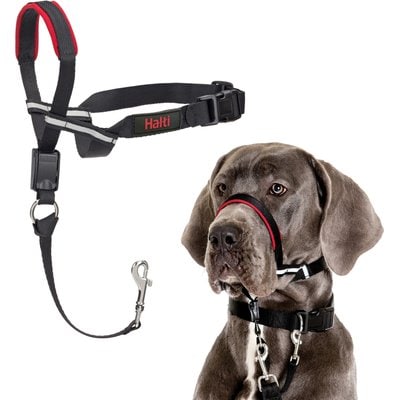 Halti Halti OptiFit Nylon Padded No Pull Dog Headcollar, Large: 19 to 25-in neck