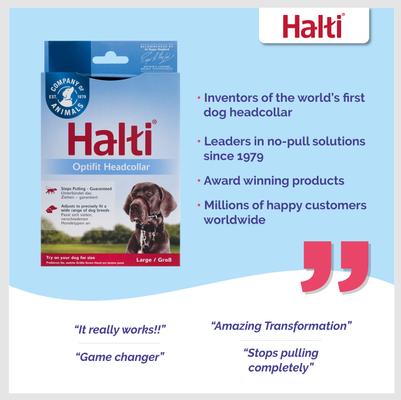 Show full view: Halti OptiFit Nylon Padded No Pull Dog Headcollar, Large: 19 to 25-in neck slide 5 of 11