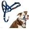 Show in main carousel: Halti Reflective Padded No Pull Dog Headcollar, Cobalt Blue, Size 2 slide 1 of 7