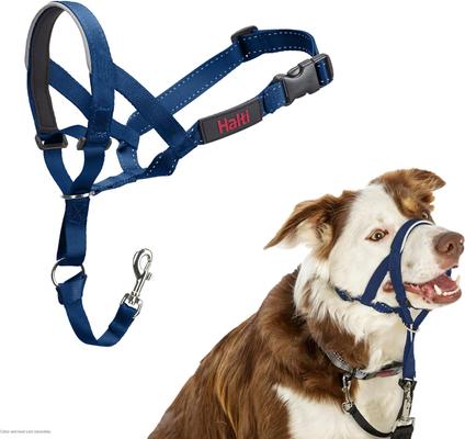 Show full view: Halti Reflective Padded No Pull Dog Headcollar, Cobalt Blue, Size 2 slide 1 of 7