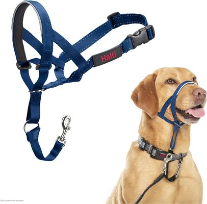 Show full view: Halti Reflective Padded No Pull Dog Headcollar, Cobalt Blue, Size 3 slide 1 of 6