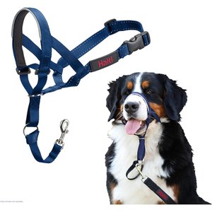 Halti Reflective Padded No Pull Dog Headcollar, Cobalt Blue, Size 4