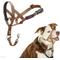 Show in main carousel: Halti Reflective Padded No Pull Dog Headcollar, Desert Sand, Size 2 slide 1 of 6