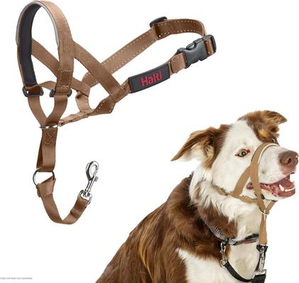 Show full view: Halti Reflective Padded No Pull Dog Headcollar, Desert Sand, Size 2 slide 1 of 6