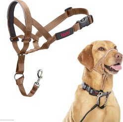Halti Reflective Padded No Pull Dog Headcollar, Desert Sand, Size 3