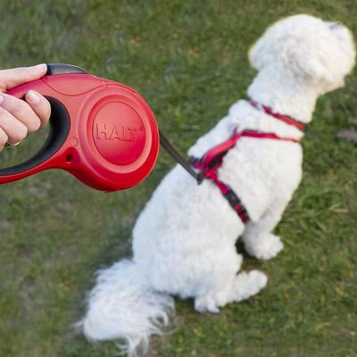 Show full view: Halti Retractable Lead Dog Leash, Red, Medium slide 7 of 8