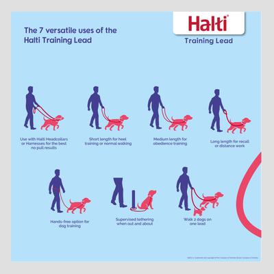 Show full view: Halti Training Lead Dog Leash, Red, Large slide 2 of 7