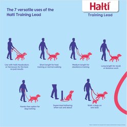 Halti Training Lead Dog Leash, Red, Small slide 2 of 6