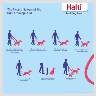 Show full view: Halti Training Lead Dog Leash, Red, Small slide 2 of 7