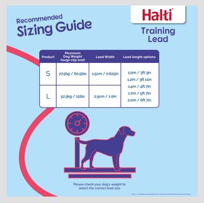 Show full view: Halti Training Lead Dog Leash, Red, Small slide 3 of 7