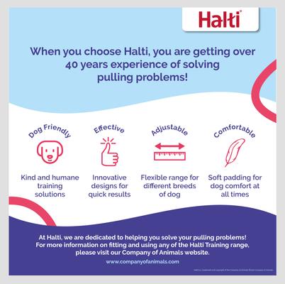 Show full view: Halti Training Lead Dog Leash, Red, Small slide 6 of 7