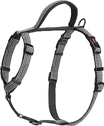 Halti Walking Dog Harness, Black, Small