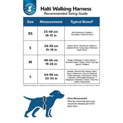 Show full view: Halti Walking Dog Harness, Blue, Small slide 4 of 4