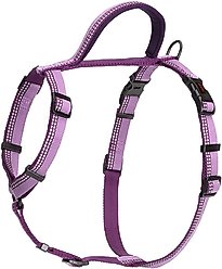 Halti Walking Dog Harness, Purple, Small