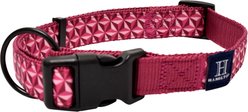 Hamilton A Day Together Ribbon Overlay Nylon Standard Dog Collar, Raspberry Star, Small/Medium: 12 to 18-in neck, 5/8-in wide