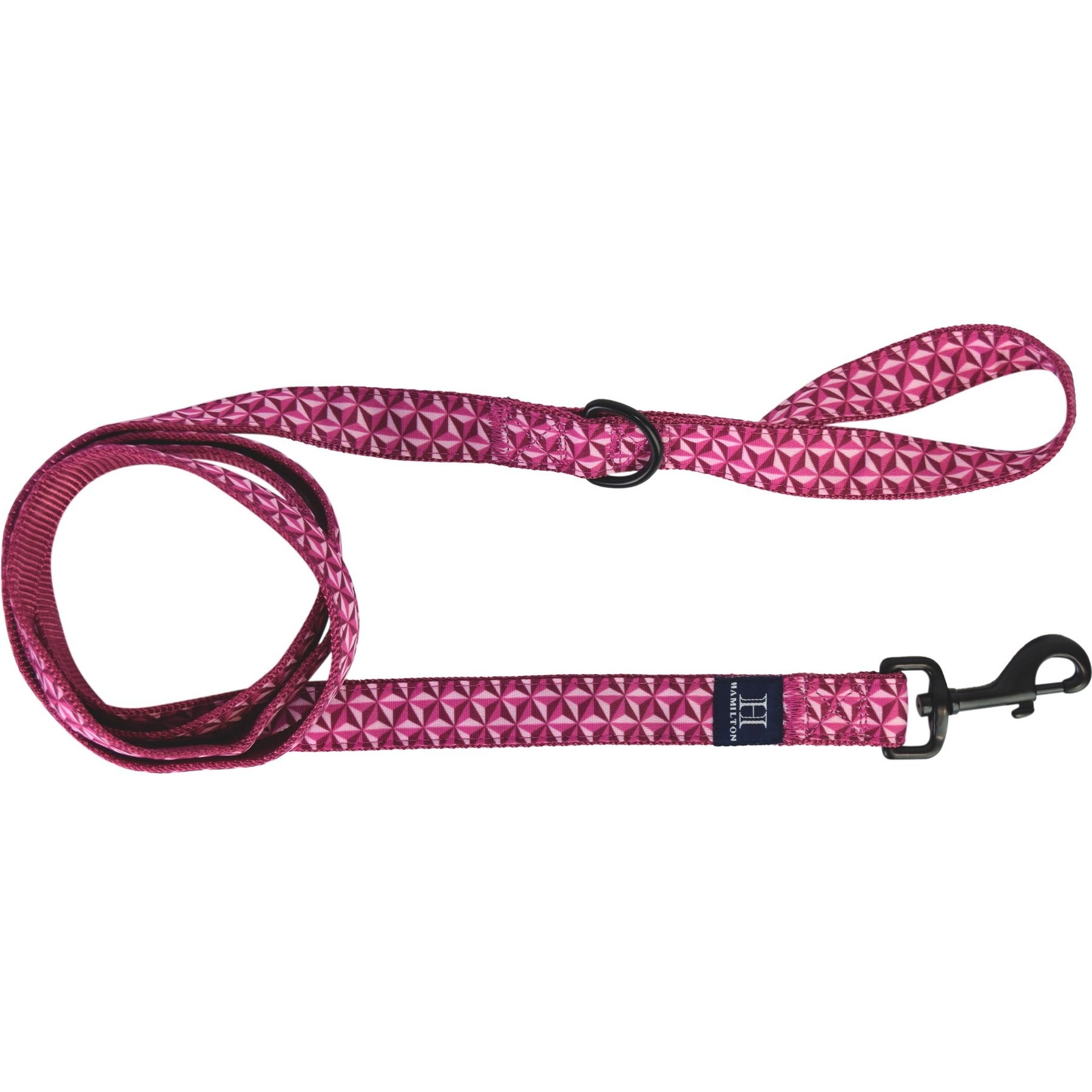 Hamilton A Day Together Ribbon Overlay Nylon Standard Dog Leash, Raspberry Star, Medium/Large: 6-ft long, 1-in wide