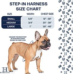 Hamilton Eco Venture Recycled Ombre Step In Padded Dog Harness, Sage, Large: 30 to 40-in chest slide 2 of 8