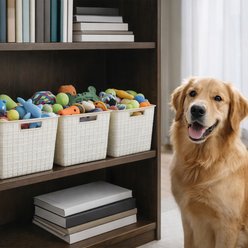 HANAMYA 4-Pack Dog & Cat Toy Storage Basket Organizer with Handle, White, 17-L