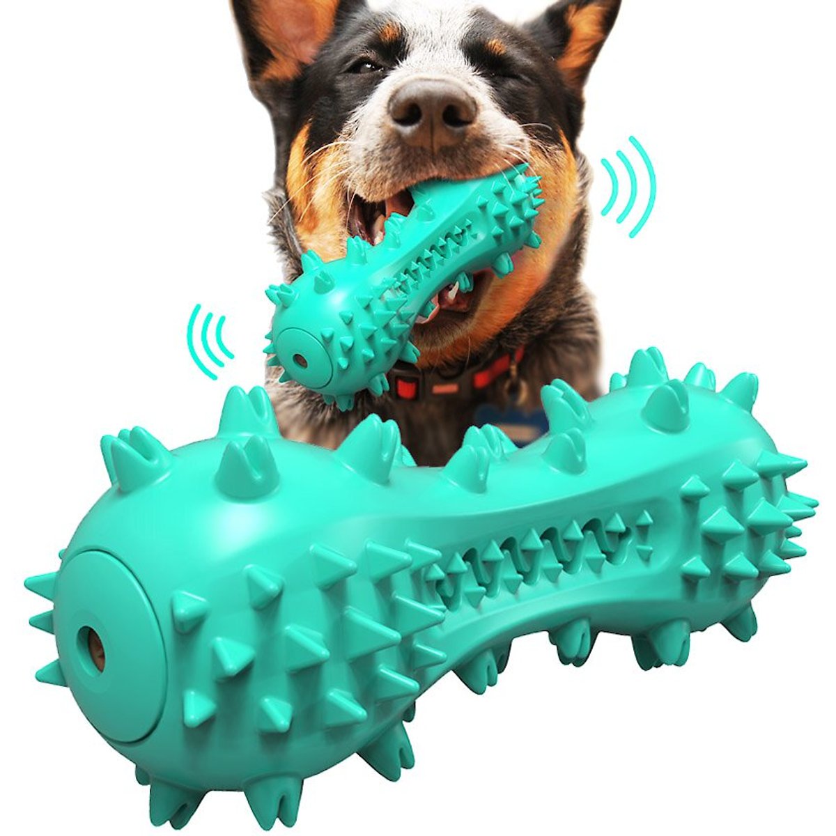 HANAMYA Bone-Shaped Toothbrush Dog Chew Toy, Turquoise Blue