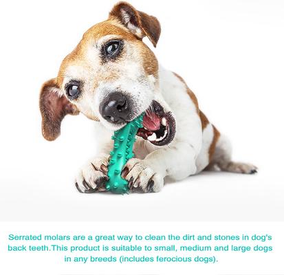 Show full view: HANAMYA Bone-Shaped Toothbrush Dog Chew Toy, Turquoise Blue slide 5 of 10