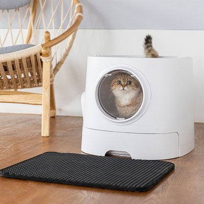 HANAMYA HANAMYA Cat Front Entry Top Exit Cat Litter Box with Scoop & Litter Mat, X-Large