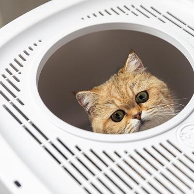 Show full view: HANAMYA Cat Front Entry Top Exit Cat Litter Box with Scoop & Litter Mat, X-Large slide 7 of 10