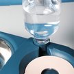 Show in main carousel: HANAMYA Dog & Cat Automatic Waterer & Stainless Steel Bowl, Blue slide 7 of 10