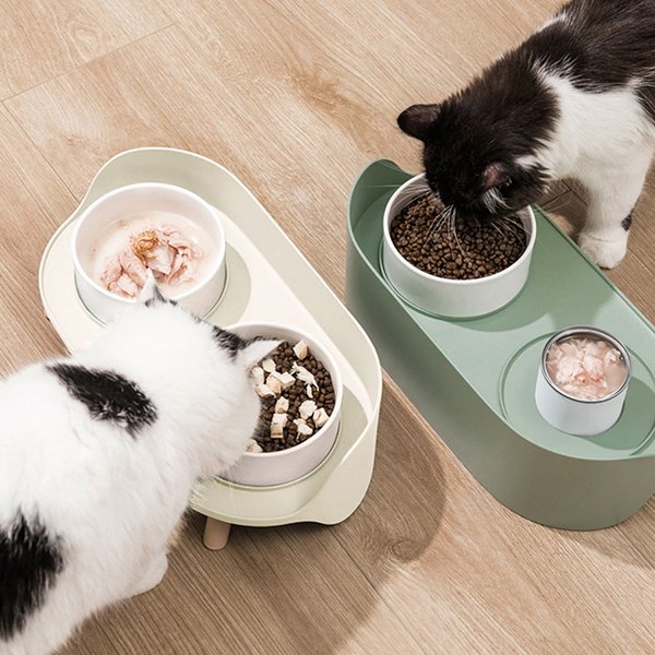 Show full view: HANAMYA Dog & Cat Bowl, White slide 2 of 7