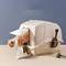 Show in main carousel: HANAMYA Front Entry Large Cat Litter Box with Scoop slide 3 of 11