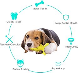 HANAMYA Toothbrush Dog Chew Toy, Lemon slide 2 of 9