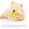 Show in main carousel: HANAMYA Toothbrush Dog Chew Toy, Lemon slide 3 of 10