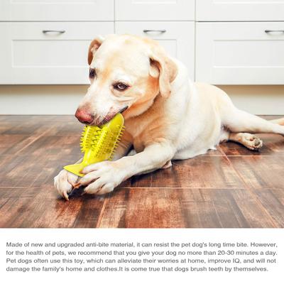 Show full view: HANAMYA Toothbrush Dog Chew Toy, Lemon slide 9 of 10