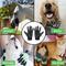 Show in main carousel: HandsOn All-In-One Pet Bathing & Grooming Gloves, Black, Small slide 6 of 10