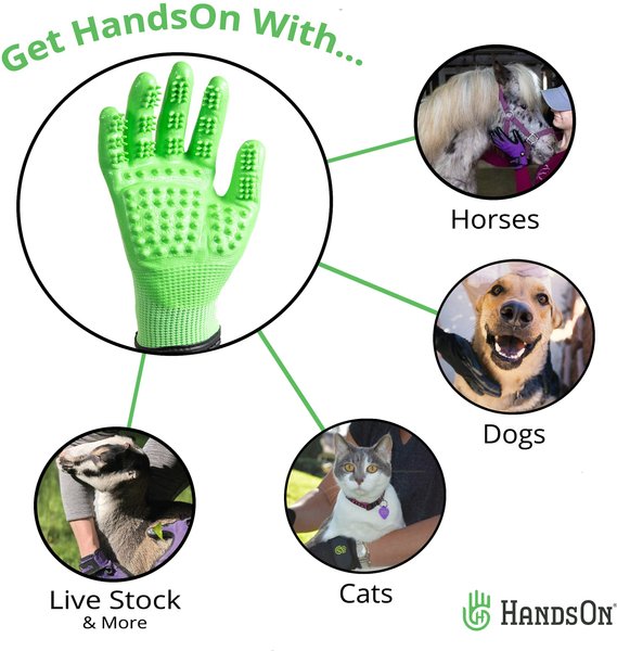 Show full view: HandsOn All-In-One Pet Bathing & Grooming Gloves, Green, Small slide 3 of 8