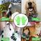 Show in main carousel: HandsOn All-In-One Pet Bathing & Grooming Gloves, Green, Small slide 5 of 8