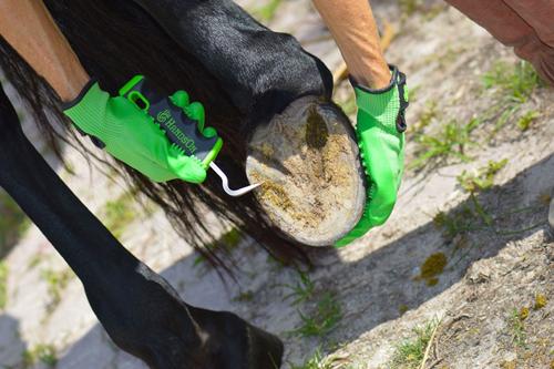 Show full view: HandsOn Horse Grooming Hoof Pick, Black/Green slide 4 of 5