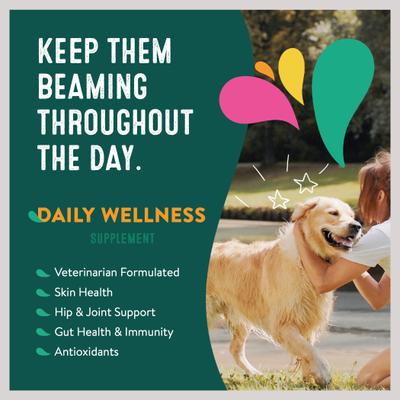 Show full view: Happy Go Healthy Daily Wellness Mini Breed Dog Supplement, 21 Scoops slide 6 of 8