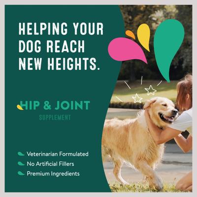 Show full view: Happy Go Healthy Hip & Joint Mini Breed Dog Supplement, 21 Scoops slide 6 of 8