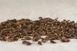 Happy Hen Treats Cricket Craze Dried Crickets Chicken Treats, 5-oz bag slide 2 of 5