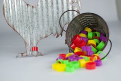 Happy Hen Treats EZ Chicken Leg Bands, 24 count, Large slide 2 of 2