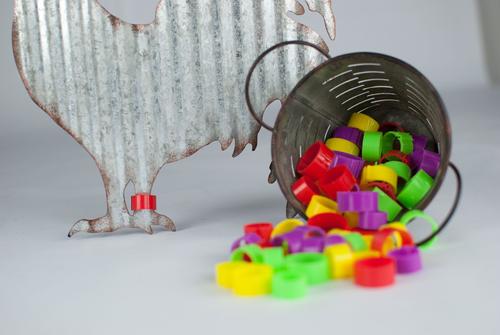 Show full view: Happy Hen Treats EZ Chicken Leg Bands, 24 count, Large slide 2 of 3